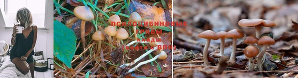 мефедрон VHQ Богородицк