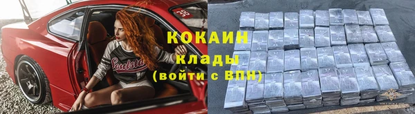 трава Белокуриха