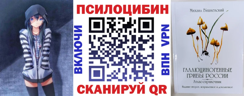 купить  цена  Бирюсинск  Галлюциногенные грибы мицелий 