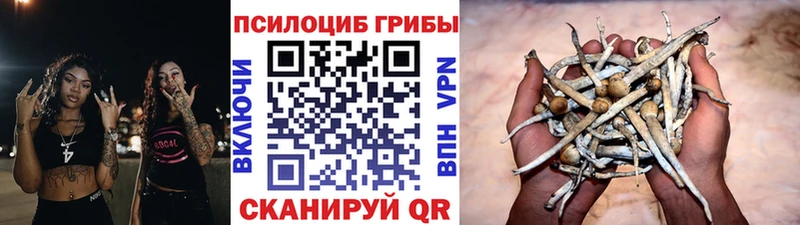 Галлюциногенные грибы GOLDEN TEACHER Бирюсинск